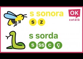 S, SS, Z, C o Ç: quan s'escriuen? | Recurso educativo 677198