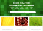 La vegetación de las Canarias. | Recurso educativo 740720