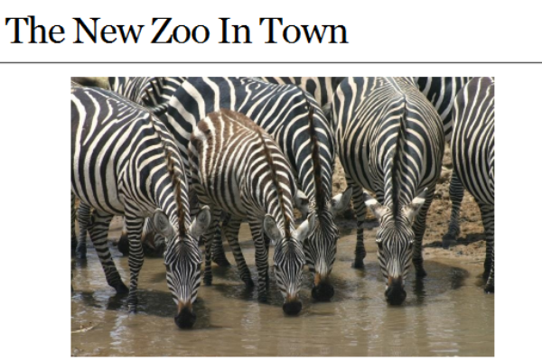 Webquest: The new zoo in town | Recurso educativo 35402