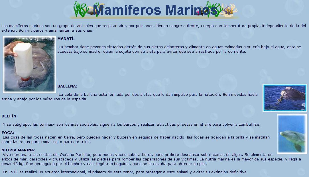 Mamiferos Marinos | Recurso educativo 46432