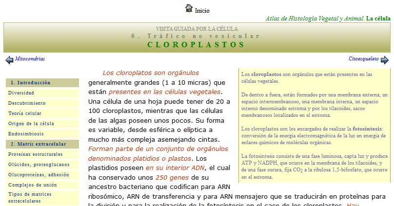 Cloroplastos | Recurso educativo 47641