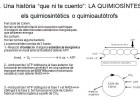 Metabolisme autòtrof | Recurso educativo 47667