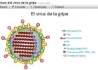 El virus de la grip | Recurso educativo 47675