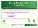 Las plantas | Recurso educativo 51584