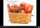 Video: Who's hiding? | Recurso educativo 60468
