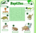 Reptiles | Recurso educativo 61856