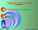 La longitud de la circunferencia | Recurso educativo 2765