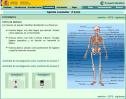 Los tipos de huesos | Recurso educativo 28006