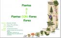 Plantas con y sin flores | Recurso educativo 32418