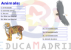 The animals activities | Recurso educativo 8940