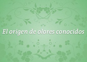 El origen de los olores conocidos | Recurso educativo 93167