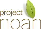 Project Noah | Networked Organisms And Habitats | Recurso educativo 102961