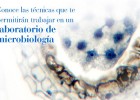 Curso de Microbiología clínica para técnicos de laboratorio | MasSaber | Recurso educativo 114010