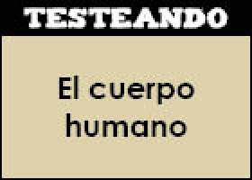 El cuerpo humano | Recurso educativo 350574