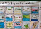 Jugando y aprendiendo juntos: Cómo dibujar un cocodrilo | Recurso educativo 724651