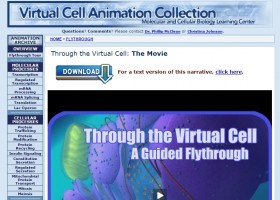 VCAC: Through the Virtual Cell - A Flythrough: The Movie | Recurso educativo 732636