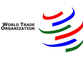 WTO | What is the WTO? | Recurso educativo 733678