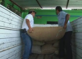 Cafè de Comerç Just a Chiapas | Recurso educativo 740362