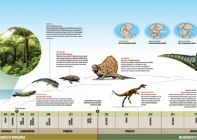 Línea del tiempo de la historia de la Tierra | Recurso educativo 746005