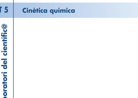 T. 05 Cinètica química | Recurso educativo 755492