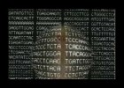 El Genoma Humano | Recurso educativo 763121
