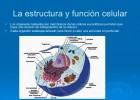 Estructura y función celular.pdf | Recurso educativo 768500