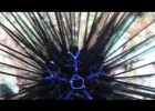 Sea Urchin Facts | Recurso educativo 778378