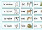 Animales en francés | Recurso educativo 782121