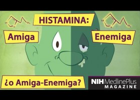 La histamina y la alergia | Recurso educativo 789500